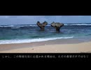 古宇利島の風景が照らす、三十代男性の人生の道筋と未来への展望　_古宇利島_北谷_道の駅 許田 _ 沖縄vlog_Okinawa travel vlog_Japan travel