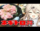 薬味香るネギトロ丼と鶏ホロッホロ汁なつむぎとひまり