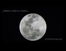 Lilniina x MABU x Yellow Claw x BANVOX x Ken The 390 - _black cherry moon_ (IFADWORLD Bootleg)