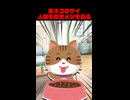 家ネコのワイ、人間を欺きメシを貪る。