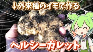 アメリカ原産の外来芋でガレット【キクイモ】