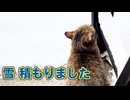 なにがなんでもパトロール