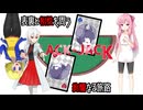 【ポケモンSV】表裏と相性を問う絢爛なる旅路【BLACK-JACK 栞視点1戦目】
