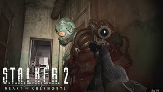 敵が壁すり抜けバグしてきたｗｗｗ【STALKER2】【HeartofChornobyl】【実況】#33