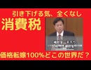 消費税に関する質問主意書回答きたる。架空の世界にいる自公政権。価格転嫁100_前提。