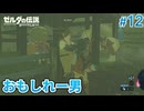 【ゼルダの伝説BotW】初めてのブレワイ！折れない心で未知の世界へ！#12【実況】