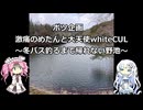 ボツ企画　激痛のめたんと大天使WhiteCUL！～冬バス釣るまで帰れない野池～【VOICEROIDフィッシング】四国めたんと中国うさぎ