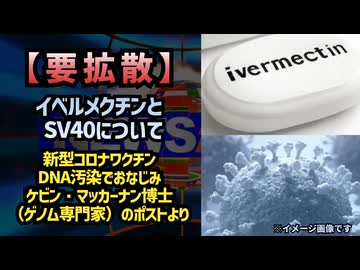 【拡散】イベルメクチンとSV40について コロナワクチンDNA汚染でおなじみケビン・マッカーナン博士（ゲノム専門家）のポストより