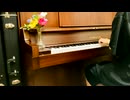 【Day36】-『なつの日誌』 薮崎太郎の一日一曲アンビエント