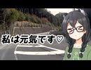 インフルエンザにかかっちゃった！【CeVIO車載】