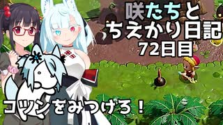 咲たちとちえかり日記　72日目 コツンをみつけろ！