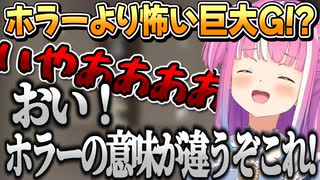 ホラーより怖いものが出てきて絶叫してしまうルーナ姫【姫森ルーナ/ホロライブ切り抜き】