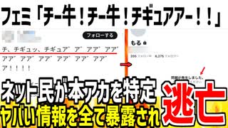 【爆笑】ツイフェミ「チー牛！チー牛！チギュアア！」→自分の本アカが特定されヤバい悪事が全部バレてしまうwww