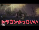 【縛りプレイ】遺灰なしで全ボス討伐！死闘のダイジェスト【エルデンリング】第６章「ドラゴンってかっこいいよね」