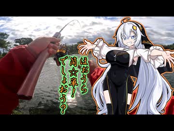 77㎝やっぱ釣れぇわ!!　なんちゅ～か1番！＃53