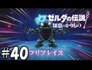 兄さんだと思ったもの【ゼルダの伝説 知恵のかりもの】40