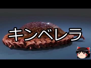 【ゆっくり朗読】ゆっくりさんと絶滅した生物　その05
