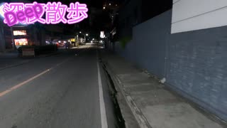 【海外旅行】セブ散歩　深夜のマンゴーアベニュー【フィリピン】