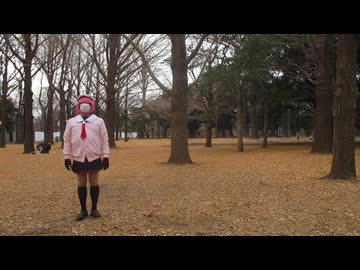 【札幌へ】チルノのパーフェクトさんすう教室【愛を込めて】