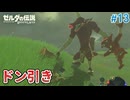 【ゼルダの伝説BotW】初めてのブレワイ！折れない心で未知の世界へ！#13【実況】