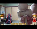 【玩具のコーナー】フックの練習にけん玉を使うの巻き【ヨーヨートリック番外編】