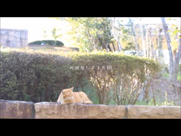 お邪魔します天国/cat nap　歌ってみた【でででぽち】