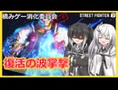 【スト６】＃１4：復活の波掌撃【リュウ】【アリアル】【ミリアル】