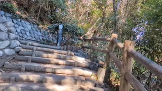 山城しんごの城めぐり　町指定史跡　小山城(静岡県吉田町)