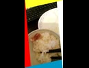 両手と十本の指が自由自在に使えて、自分の手で食事が出来る有難さを、交通事故で失うな！.mp4 (1080p)