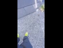 両手両足が自由自在に扱える有難さを、交通事故で失うな！.mp4 (1080p)