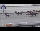 2025年1月12日高知競馬2R 松本家・中村家協賛 椋・心優結婚記念特別(3歳-3組) リバイブローズ