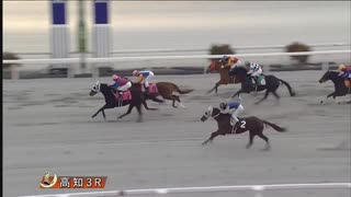 2025年1月12日高知競馬3R 菅原ユキア協賛 台風くん布教感謝特別(3歳-2組) ワグナーチューバ