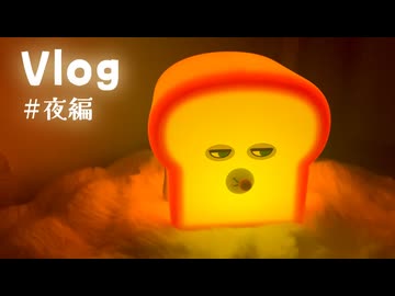 【Vlog】ある日の夜編