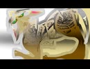 POP「猫 ごろごろ ニャンだろ にゃん」０3016