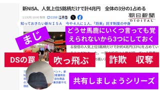 新NISAの真実　DSの罠　吹っ飛ぶ　詐欺収奪　新NISA、人気上位5銘柄だけで計4兆円　全体の3分の1占める #人々の希望願望を餌に収奪するDS