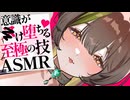 【耳舐めASMR】たっぷり60分♡意識がヌけ堕ちるシゴクの技耳舐め♡【囁き/耳舐め/耳はむ/耳ぐぽ】