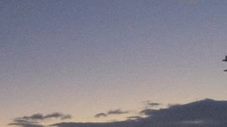 1718　feat.重音テト