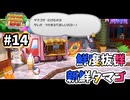 【ペーパーマリオRPG】折れて曲がって丸まって！宝をめぐる大冒険_Part14【実況】