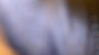 75845544237__F4A12243-5E95-4C98-9B22-66877214B744