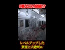 8番出口の続編！？ レベルアップした異変に大絶叫するVtuberがヤバいｗ 【続きは概要欄の動画リンクから！】 【 8番のりば 】 【 8番出口 続編 】 【 芽來-めいく- / 新人Vtuber 】