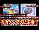 【ポケポケ】は⁉️カメックスに幻の石版採用⁉️2進化デッキに革命をwww【デッキ紹介】【ポリゴン】Pokémon Trading Card Game Pocket