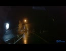 誰も障害者にしないように、夜のヤビツ峠を、かっ飛ばさずに、慎重に運転しました39 (1440p)