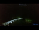 誰も障害者にしないように、夜のヤビツ峠を、かっ飛ばさずに、慎重に運転しました21 (1440p)