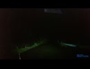 誰も障害者にしないように、夜のヤビツ峠を、かっ飛ばさずに、慎重に運転しました28.mp4 (1440p)