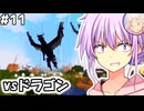 【マイクラMOD】#11,村の中で龍と戦うDawncraft