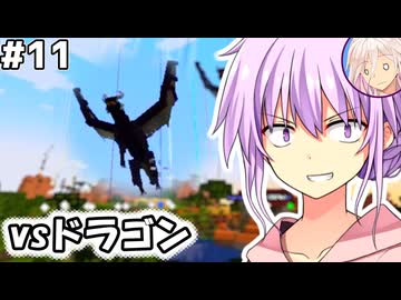 【マイクラMOD】#11,村の中で龍と戦うDawncraft