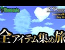 【全アイテム集め旅】空に浮かぶハートおじさん作業動画【テラリア】DAY30