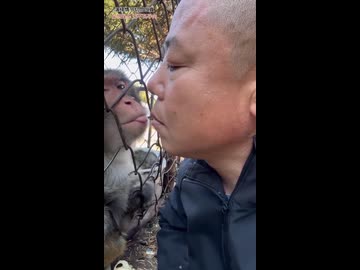 ホモと見る猿といちゃつく中国人