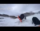 雪に飛び込んだらあまりの硬さに肋骨をやってしまうだるまくん