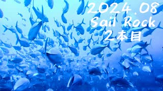 【スキューバダイビング】海外遠征!! 魚影が濃すぎる Sail Rock 2本目 【2024寒蝉鳴】